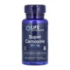 Super Carnosine 500 mg - 60 vcaps - изображение 1