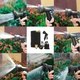 Шланг садовий для поливу 7.6 м набір для поливу з розпилювачем, гнучкий, що розтягується, для саду та городу - зображення 7