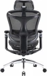 Крісло офісне SIHOO DORO C300 Pro Mesh Black (DORO-C300-PRO-M101) - зображення 2