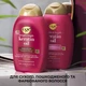 Шампунь OGX Keratin Oil проти ламкості з кератиновою олією 385 мл (0022796977519) - зображення 4
