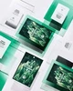 Патчи для лица от высыпаний с центеллой SKIN1004 Madagascar Centella Tea-Trica Spot Cover Patch, 22 шт - изображение 5