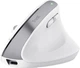 Mysz Trust Bayo+ Ergo Wireless/Bluetooth White (TR25399) - obraz 4