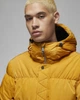 Парка Air Jordan Stmt Parka Yellow Dq7346-712 S - изображение 4