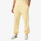 Штаны Helly Hansen Allure Pant Yellow 53982-369 L - изображение 3