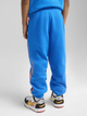 Дитячі спортивні штани для хлопчика Puma x Hot Wheels Sweatpants Tr 63007258 122 см Синие (4067983573484) - зображення 2