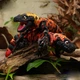 Декоративная фигурка Flexi ящерица Ядозуб 10 см с подвижными сегментами — 3D-игрушка, оригинальный сувенир и подарок для детей и взрослых - изображение 4