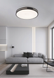 Lampa sufitowa Standart 2021460-BK - obraz 3