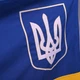 Флаг Украины с трезубцем, вышитый, уличный, из непросвечивающейся плотной ткани, 95x140 см, размер вышивки 27*36см. - изображение 11