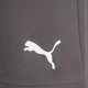 Спортивные шорты мужские Puma teamRISE Short 704942-13 XL Серые (4063699212075) - изображение 6