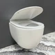 Подвесной унитаз VBI CAPRI WHITE - изображение 1