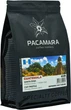 Кофе в зернах PACAMARA Guatemala Santa Rosa 1 кг (4820287550021) - изображение 1