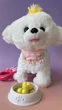 Інтерактивна іграшка Aida Princess Dog м'яка (AD933-191E) - зображення 6