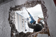 Перфоратор Bosch Professional Heavy Duty GBH 8-45 D (0611265100) - изображение 10