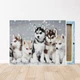 Алмазная мозаика на подрамнике ColorArt Собаки Хаски 40х50 SPP092 + Подарок лак для покрытия - изображение 3