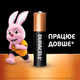 Батарейки Duracell Basic AAA 1.5V LR03 10 шт economy pack (5000394152557) - зображення 3