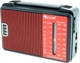 Радиоприемник радио FM ФМ Golon RX-A08AC - изображение 4