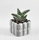 Бетонное кашпо для кактусов и суккулентов (Серый) GREYMIX Concrete Art - изображение 7