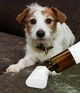 Пилосос для видалення пилового кліща Vacuum Cleaner K9T - изображение 3