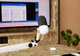 Mikrofon Elgato Wave Mic Neo (10MAI9901) - obraz 4