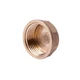 Заглушка для труб Thermo Alliance Standart 1'' ВР Латунь SD40225 - изображение 1