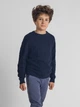Детский свитер для мальчика Minoti 27KNIT51 43911TEN 128-134 см Темно-синий (5063025548983) - изображение 1