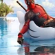 Постер Дедпул, Deadpool, A3 42×30 см (id1829) - зображення 2