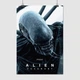 Постер Чужой: Завет, Ковенант, Alien: Covenant (2017), A3 42×28 см (id1386) - изображение 1