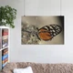 Постер Метелик Heliconius hecale на камені, A1 60×90 см (id4585) - зображення 7