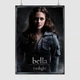 Постер Сумерки, Вампирская сага, Белла Свон, Twilight (2008), A3 42×30 см (id0526) - изображение 1