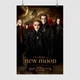 Постер Сумерки. Сага:Новолуние. , Twilight Saga: New Moon (2009), A3 42×28 см (id6873) - изображение 1