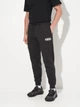 Спортивные штаны утепленные мужские Puma Essentials Graphics 68818201 S Black (4069156535428) - изображение 1