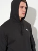 Худи утепленное мужское Puma Essentials Foundation 68257801 M Black (4067983669842) - изображение 4