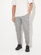 Спортивные штаны мужские утепленные Puma Essentials Graphics 68471303 L Medium Gray Heather (4067983631498) - изображение 1