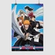 Постер Блич, Bleach, A2 60×40 см (id5296) - изображение 1