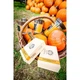 Свеча Vellutier Spicy pumpkin soufflé (Пряное тыквенное суфле) 90 г (S) К.V63035 - изображение 4