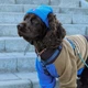 Шапка для собак Hat-Dog акрил синя з регульованою затяжкою 5/XL - изображение 4