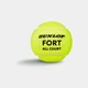 Теннисный мяч Dunlop Fort All Court Ts 4B Green 601607 MISC - изображение 2