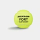 Теннисный мяч Dunlop Fort Clay Court 4B Green 601613 MISC - изображение 2