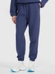 Спортивные штаны женские 4F 4FWAW25TTROF1184-32S XL Синие (5905700717317) - изображение 1