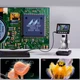 Цифровой микроскоп 1000X с 4.3" LCD дисплеем для монет и пайки со встроенным аккумулятором 1200 mAh Портативный - изображение 5