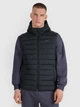 Теплый жилет мужской 4F 4FWAW25TVJAM225-20S XL Черный (5905700778868) - изображение 1