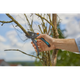 Секатор Gardena PremiumCut Pro dry wood с наковаленкой 24 мм (12250-20.000.00) - изображение 2