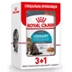 Royal Canin 3+1 Royal Canin Urinary Care Вага: 0.085 кг | Консервований корм для котів Урінарі (0273571000360) (11695) - зображення 1