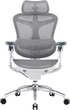 Fotel biurowy SIHOO DORO C300 Pro Mesh White (DORO-C300-PRO-M102) - obraz 1