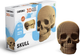 3D пазл-конструктор Cartonic 3D Puzzle Skull Картонний (4820191132948) - зображення 11