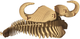 3D пазл-конструктор настінний Cartonic 3D Puzzle Buffalo Картонний (4820191133662) - зображення 3