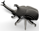 Model 3D do składania Eugy Zoo Żuk nosorożec (9421036940343) - obraz 3