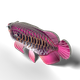 Model 3D do składania Eugy Zoo Azjatycka arowana (9421036940398) - obraz 4