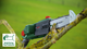 Акумуляторний телескопічний секатор Bosch UniversalChainPole 18 + мастило для бензопил 60 мл + 1 пильний ланцюг 20 см (3165140888110) - зображення 9