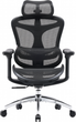 Крісло офісне SIHOO DORO C300L Mesh Black (DORO-C300L-A3-101) - зображення 1